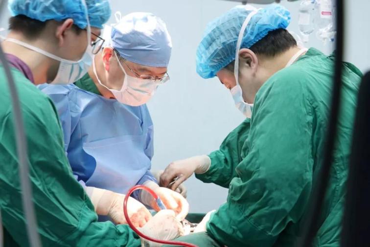 1560306932477550.jpg 3.jpg