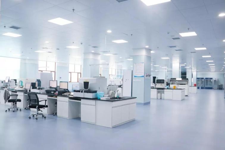 1561962016923241.jpg 1.jpg