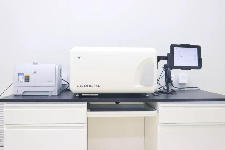 1561962195805967.jpg 6.jpg