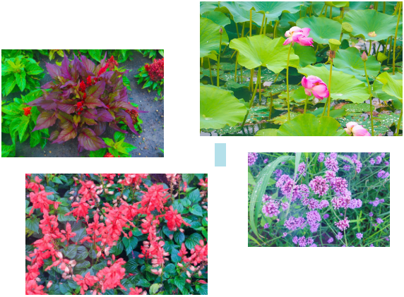 1565933423802298.bmp 3.bmp