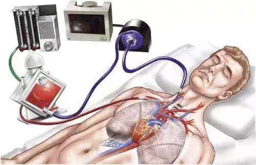 1587262443602135.png 1.png