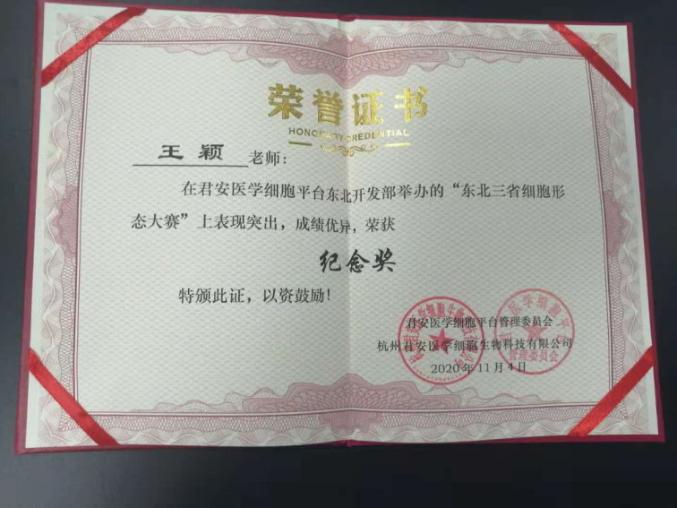 1606782279970690.png 7.png