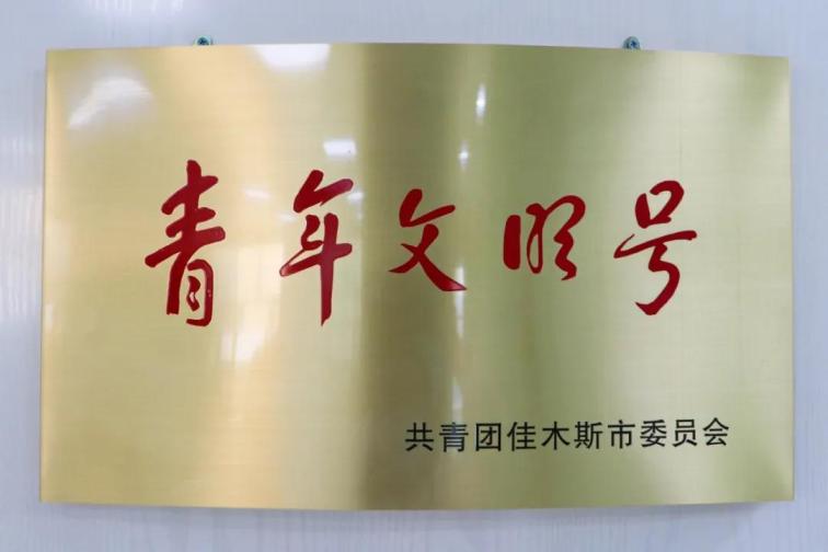 1608508041781322.jpg 2.jpg