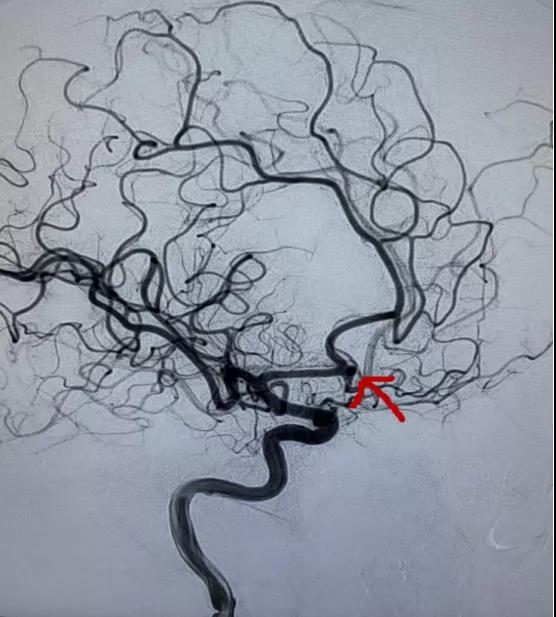 1608508623443357.jpg 5.jpg