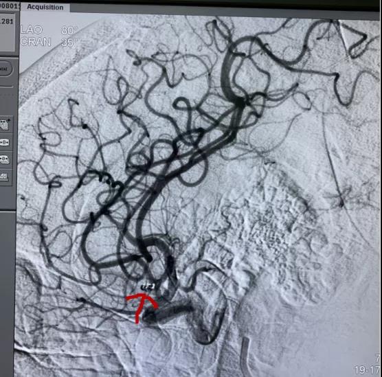 1608508649765197.jpg 7.jpg