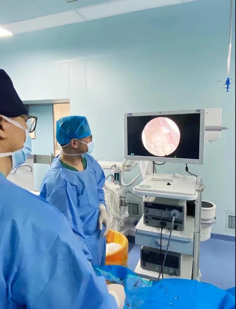 1620632987861625.jpg 5.jpg