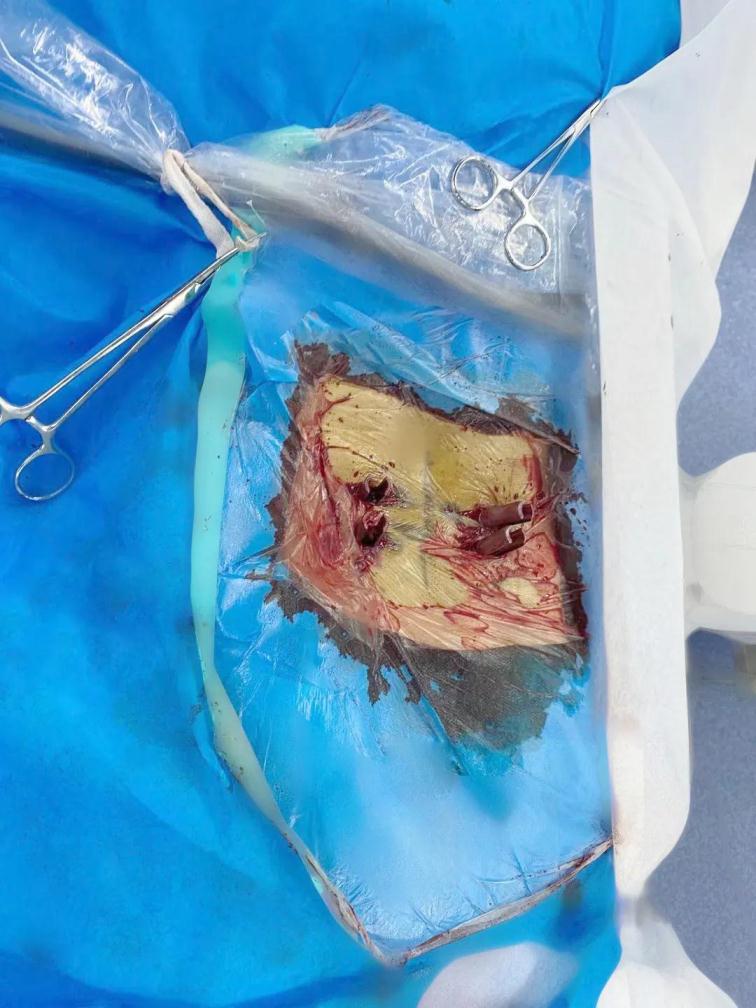 1620633028460695.jpg 7.jpg