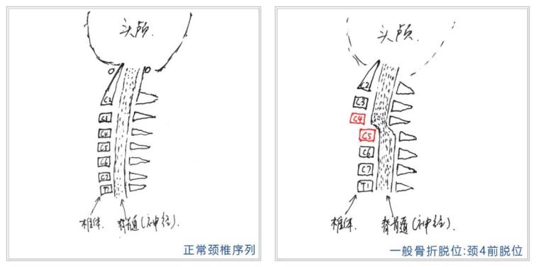 1630202626590541.jpg 3.jpg