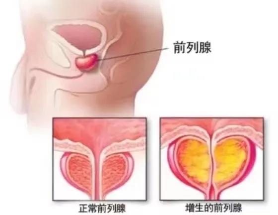 1631326823585552.jpg 1.jpg