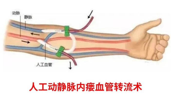 1650241349894412.jpg 06.jpg