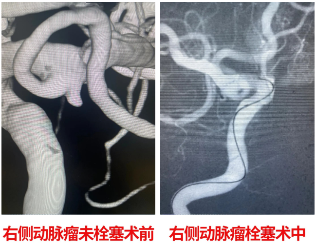 1650856119750094.png 06.png