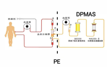 1670113346325468.png 07.png