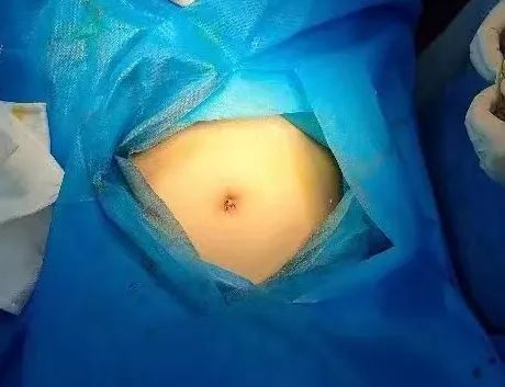 1670654208182275.jpg 05.jpg