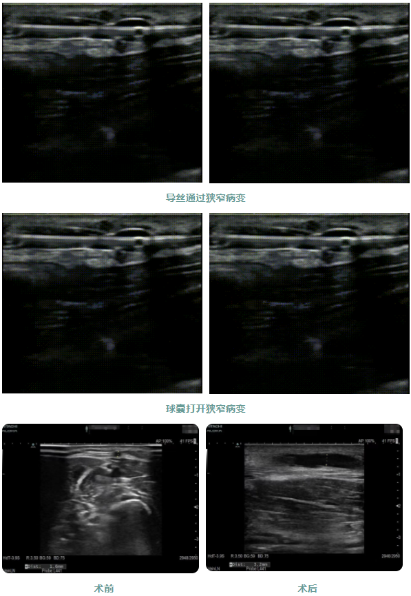 1676897492333635.png 02.png