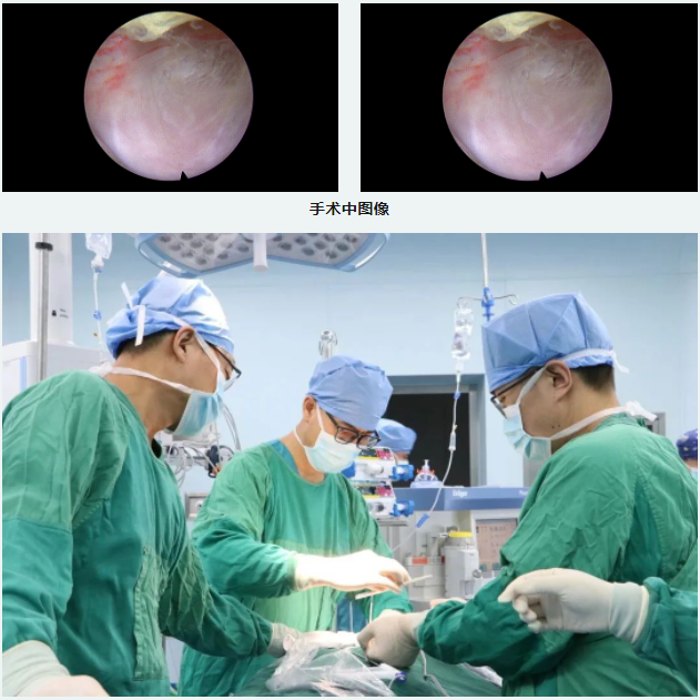 1680516608808386.png 03.png