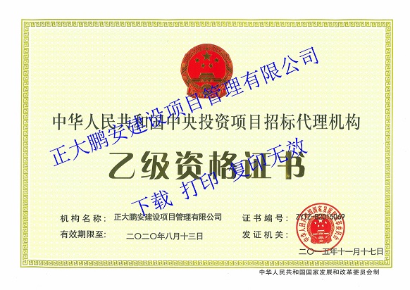 中央投資項目招標代理機構(gòu)乙級資格