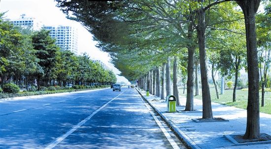 崖州灣科技城研學大道A段道路工程項目EPC、監(jiān)理