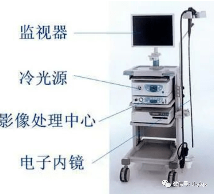 西安交通大學(xué)第二附屬醫(yī)院消化內(nèi)鏡、介入耗材供應(yīng)商遴選項目