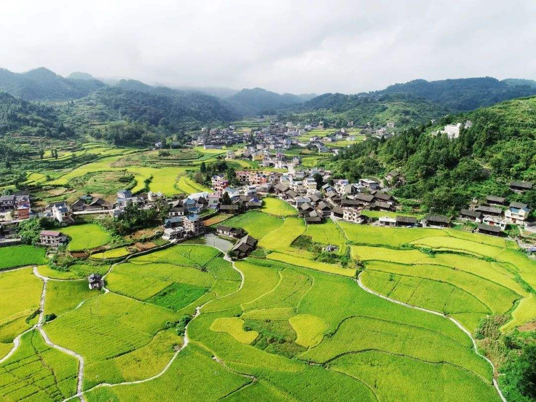 西安市臨潼區(qū)2020年政策性農(nóng)業(yè)保險承保機構(gòu)采購項目