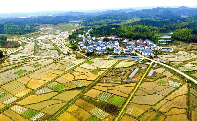 西安市臨潼區(qū)農(nóng)村“房地一體”宅基地和集體建設(shè)用地不動產(chǎn)權(quán)籍調(diào)查牽頭服務(wù)采購項目、地權(quán)籍調(diào)查服務(wù)采購項目